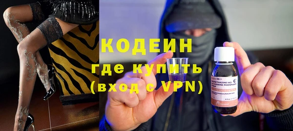 молекула духа Арсеньев
