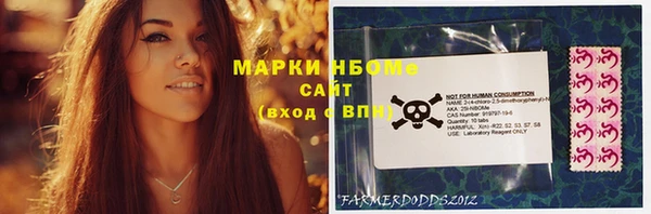 молекула духа Арсеньев