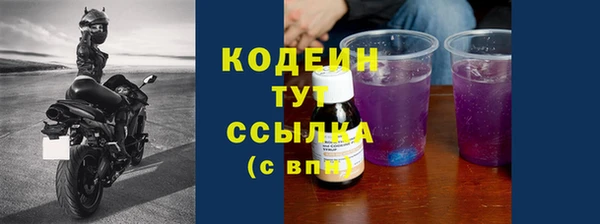 молекула духа Арсеньев