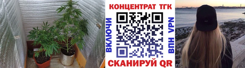 ТГК вейп с тгк  МЕГА вход  Унеча  где можно купить  